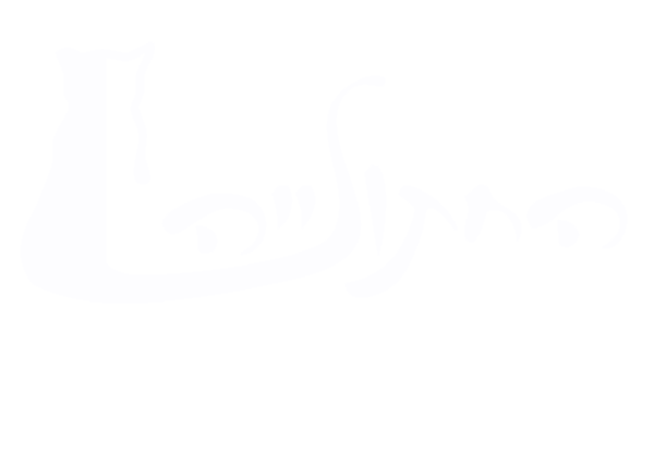 Hadera Cat Sanctuary